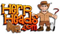 HerpHeads.com